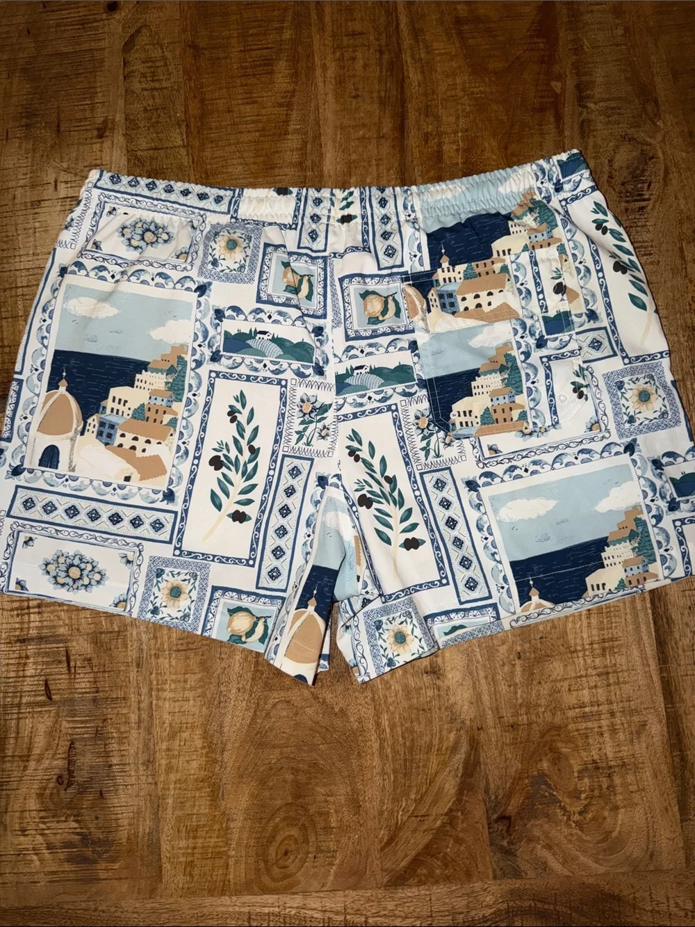 Abercrombie & Fitch Blue and White Mediterranean Print Shorts